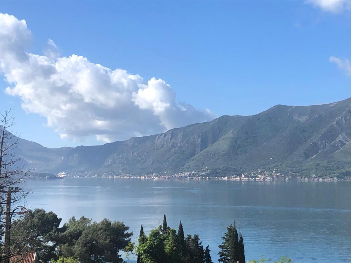 B & M Apartments Kotor Dış mekan fotoğraf