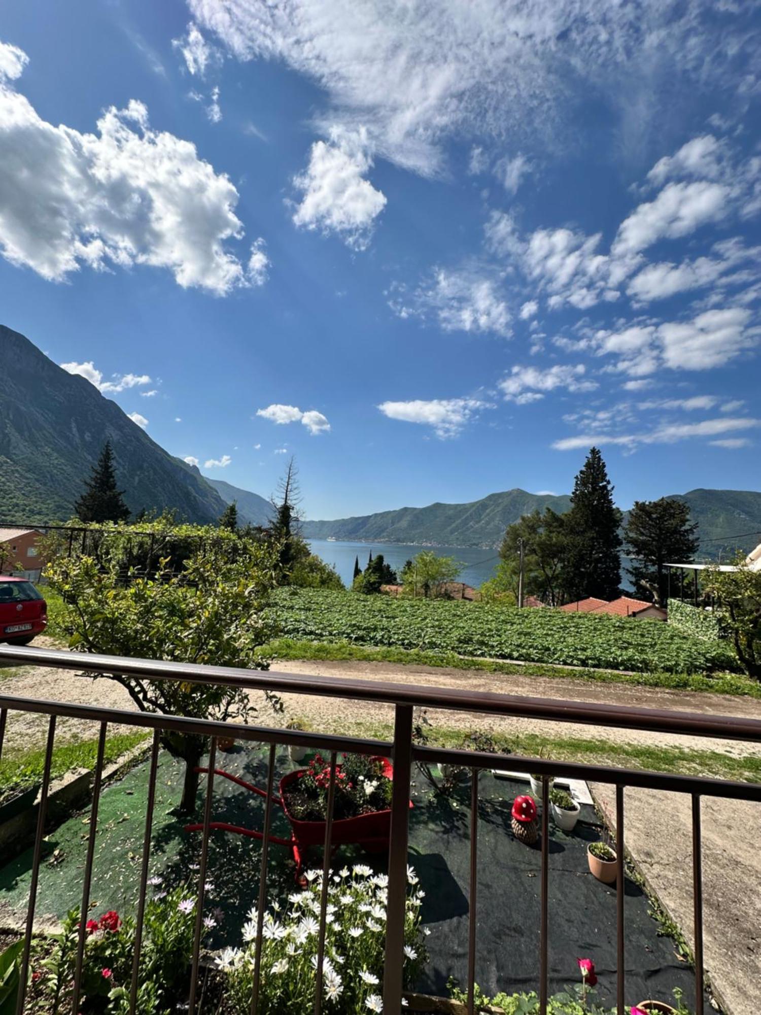 B & M Apartments Kotor Dış mekan fotoğraf