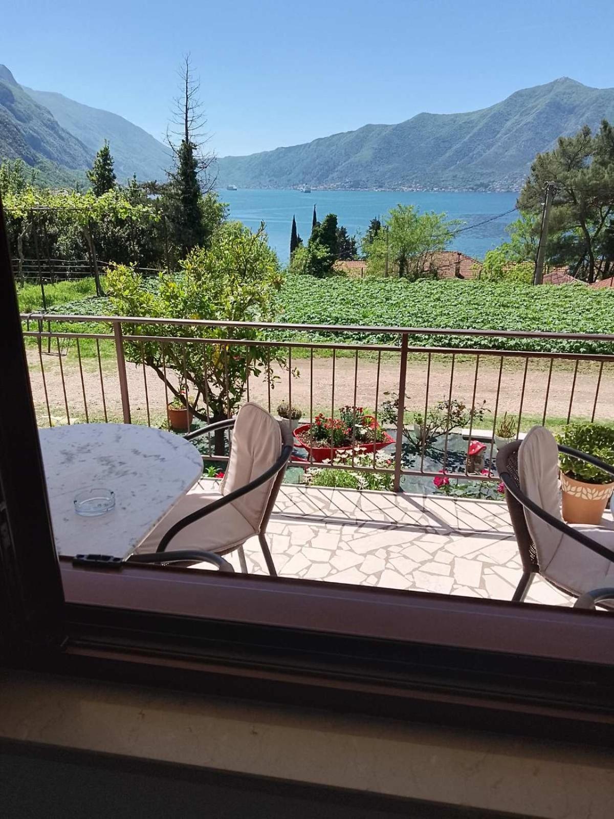 B & M Apartments Kotor Dış mekan fotoğraf