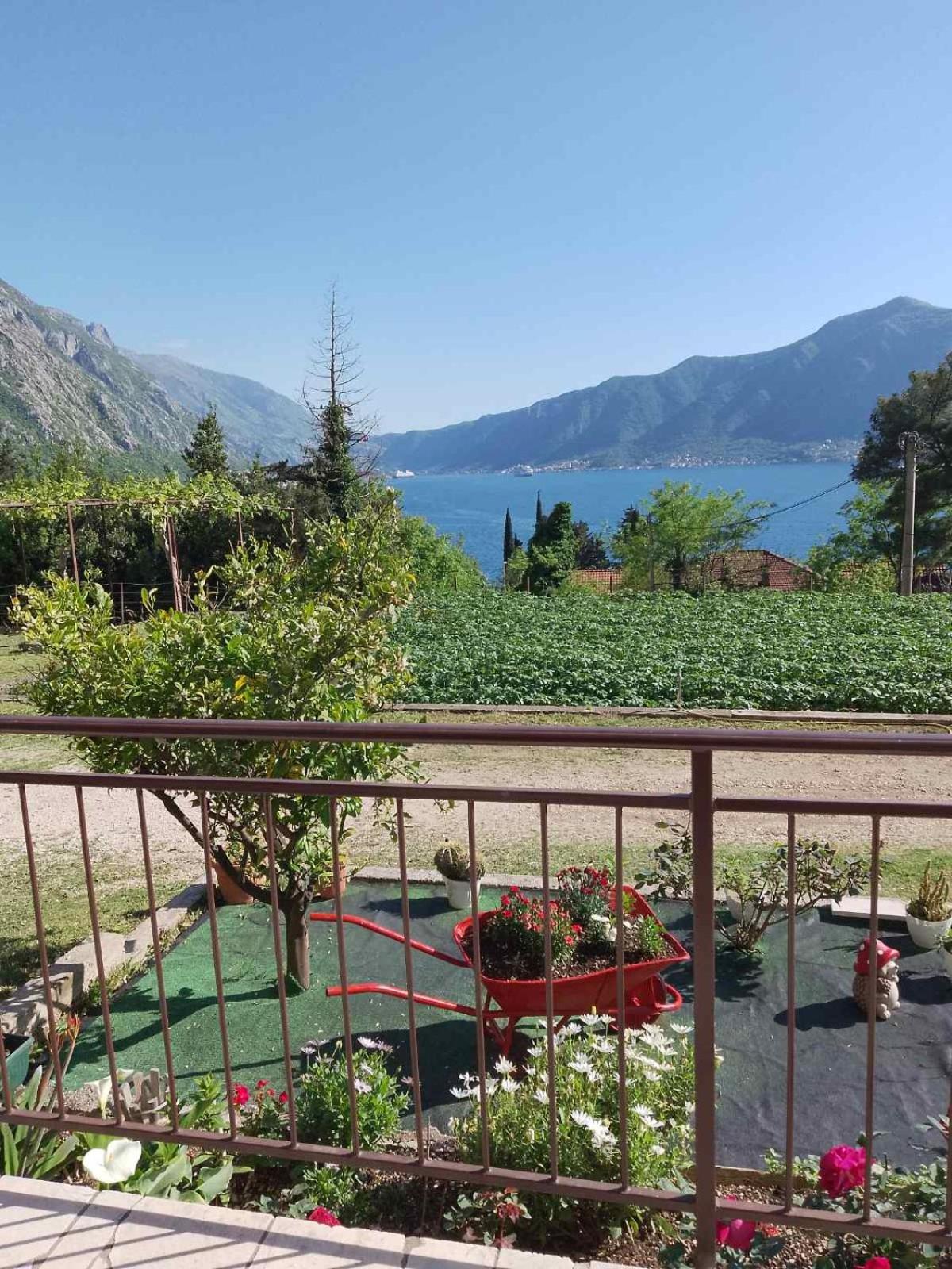 B & M Apartments Kotor Dış mekan fotoğraf
